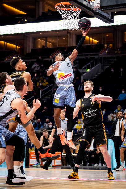 12只小鸟 12只小鸟